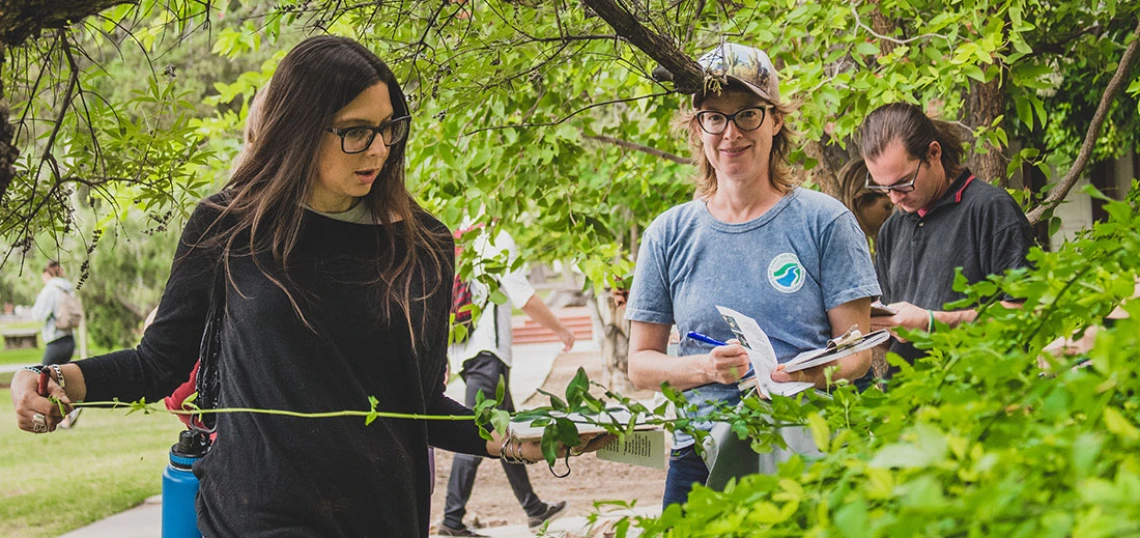 MLA students in the field