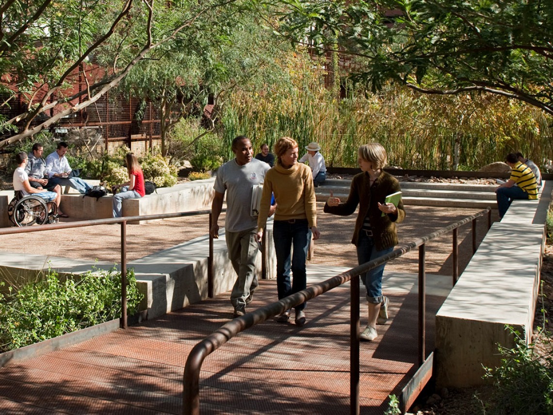 MRED students in the Underwood Sonoran Garden