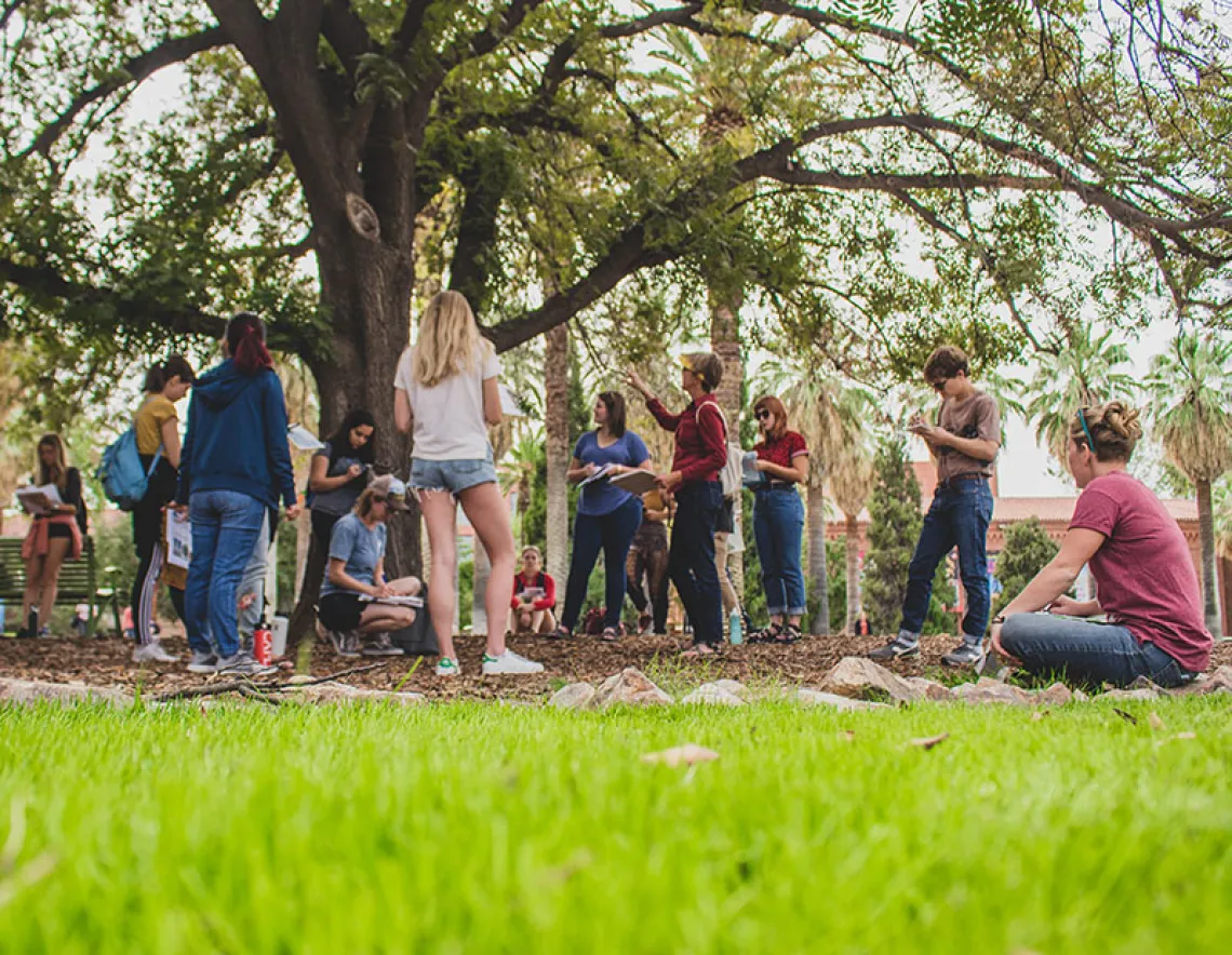 CAPLA students on grass lawn near large tree