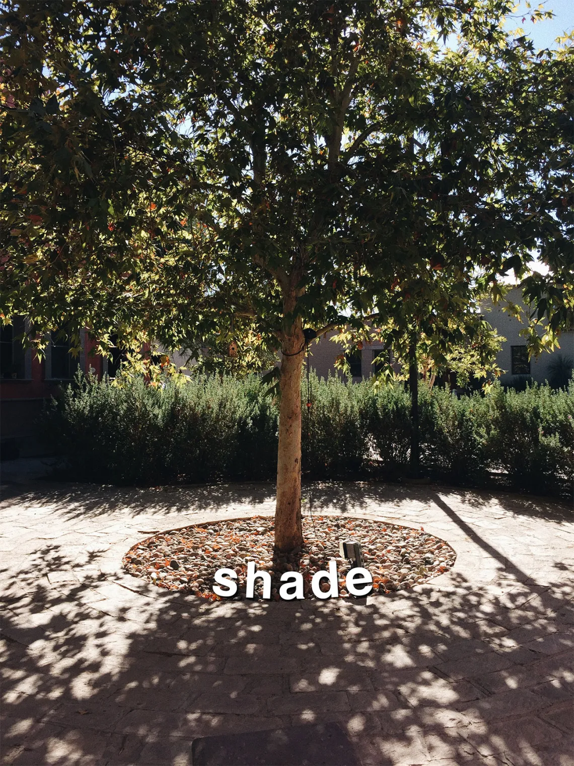 Shade: Walkability in Tucson, by Gabby Abou-Zeid