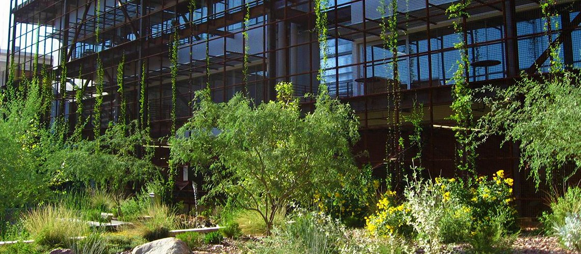 CAPLA East Building and Underwood Sonoran Garden. Photo by Bill Timmerman.
