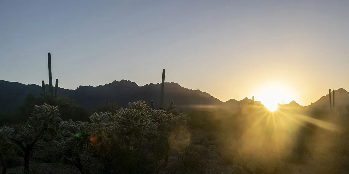 Desert sunset silhouette