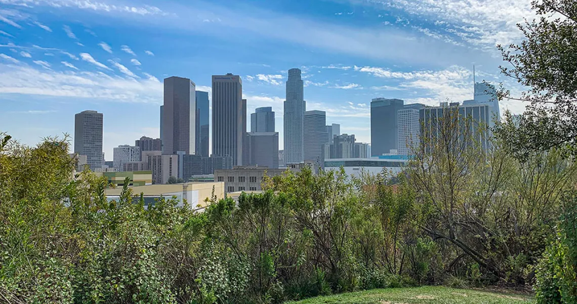 Downtown Los Angeles skyline from Vista Hermosa Park.