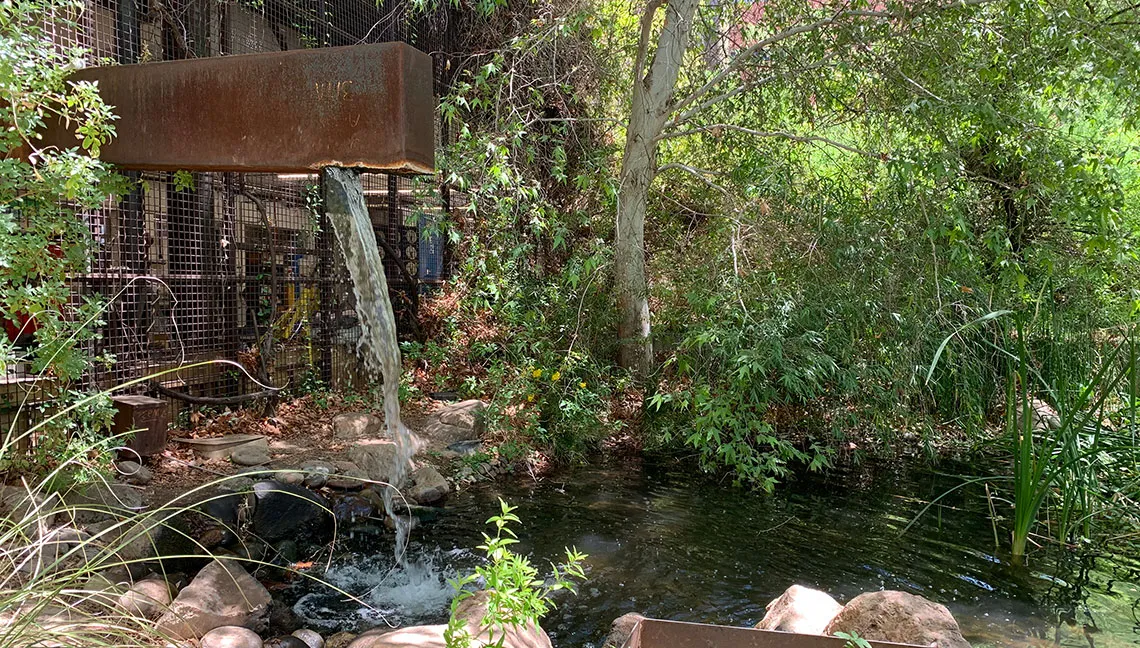 Fountain in Sonoran Underwood Garden