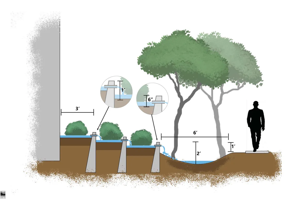 El Camino Verde, by MLA students