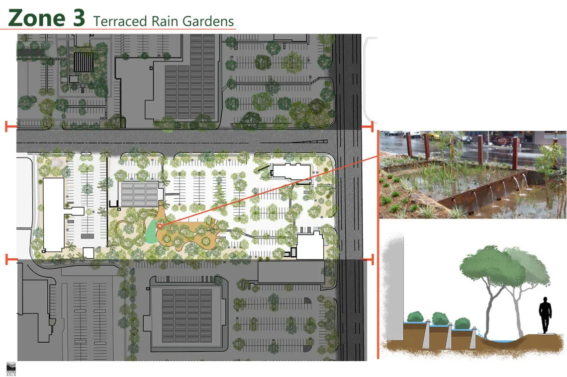 El Camino Verde, by MLA students