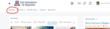 D2L Discover Button 