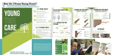 Project poster