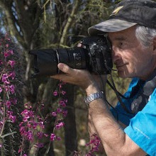 Stephen Buchman in a desert landscape, pointing a camera toward a subject to the left of the frame.